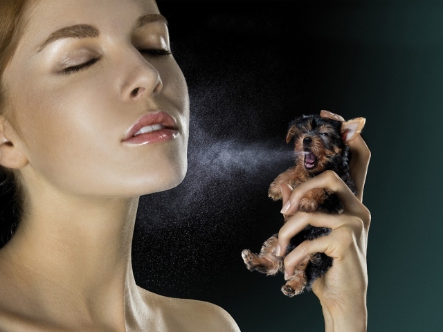 Духи из щенка