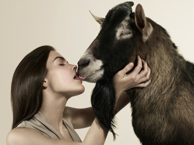 Любовь зла, полюбишь и козла