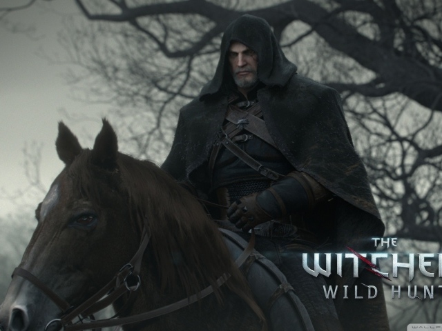 Всадник из игры Ведьмак