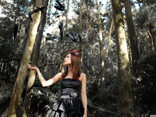 Девушка и черные перья