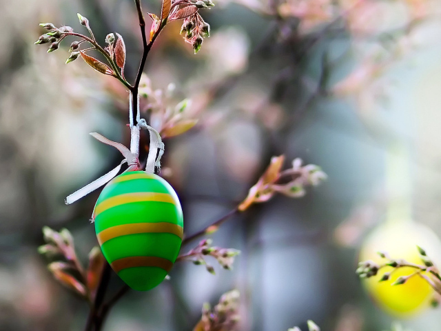 Яйцо на ветке на Пасху
