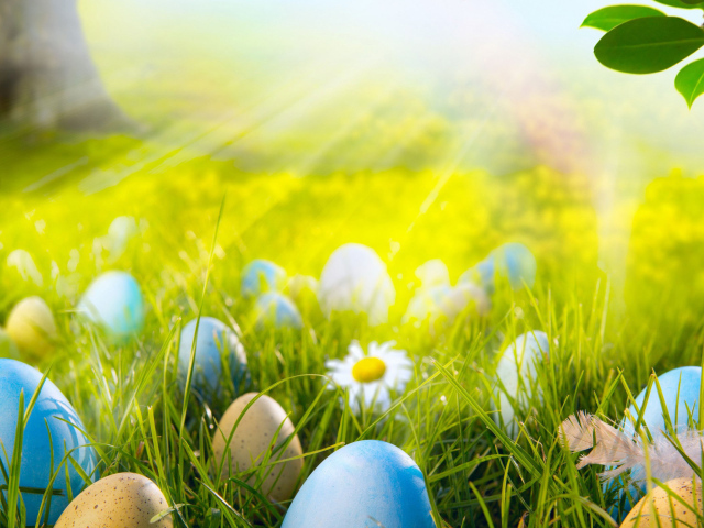 Яйца на лугу на Пасху