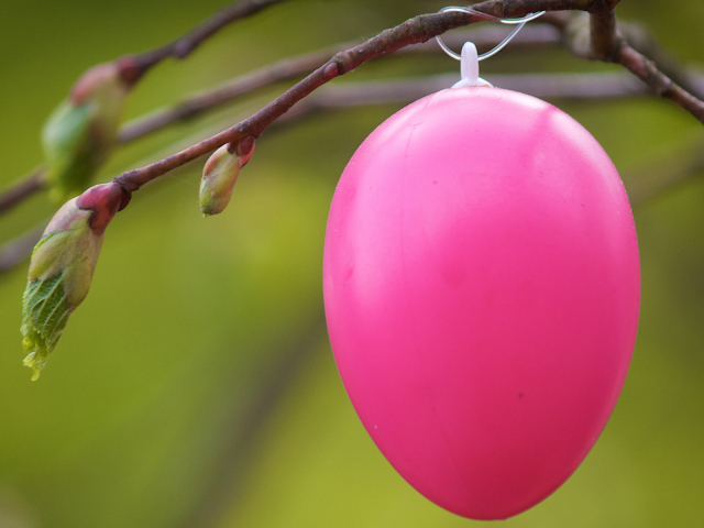 Розовое яйцо на ветке на Пасху