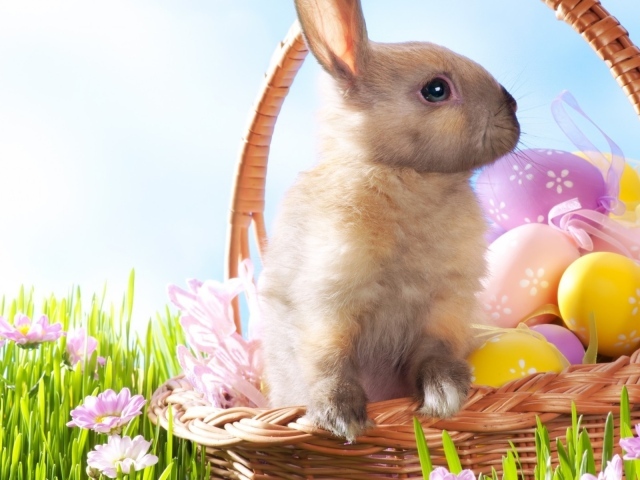 Кролик в корзине на Пасху