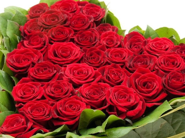 Букет красных роз на 8 марта для девушки