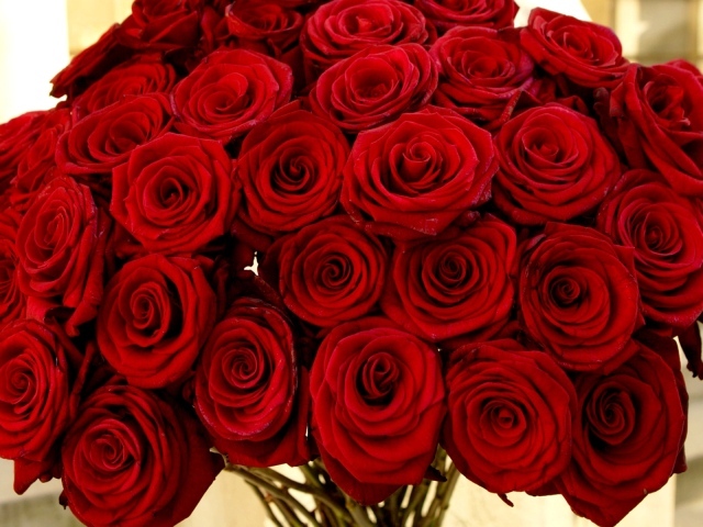 Нарядный букет красных роз на 8 марта