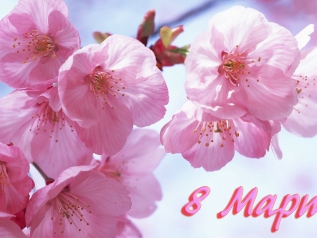 Розовые цветы на 8 марта