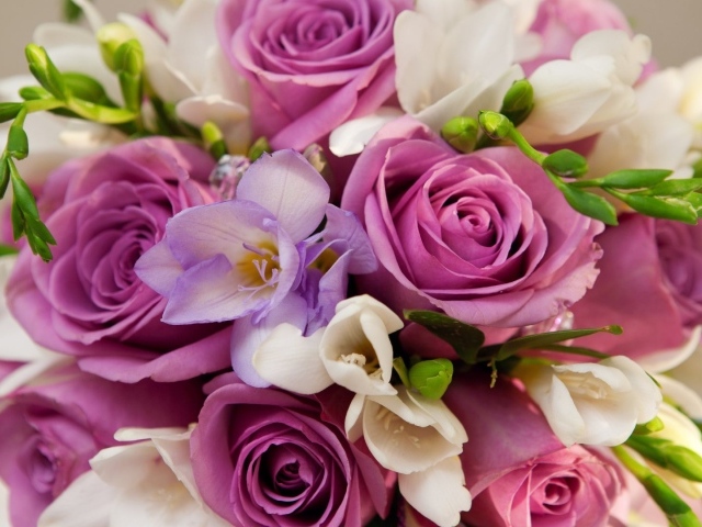 Фиолетовые розы в букете для женщин на восьмое марта
