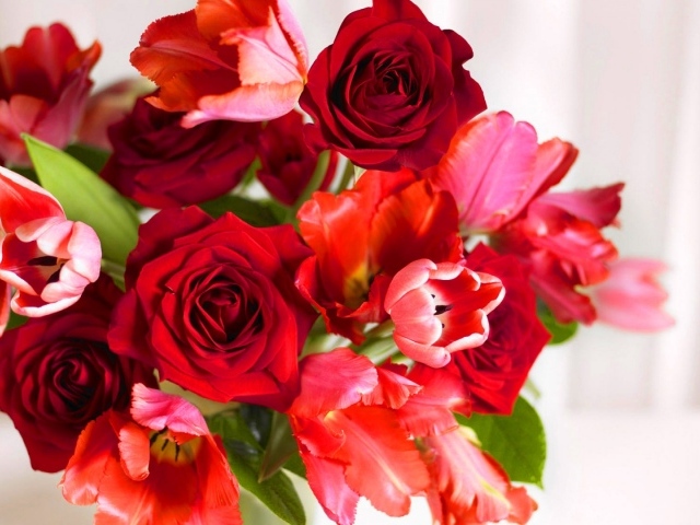 Красные розы и красные тюльпаны в подарок на восьмое марта