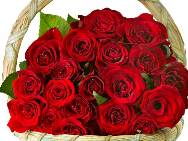 Красные розы в корзине в подарок женщинам на восьмое марта