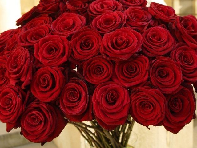 Красные розы в букете на восьмое марта