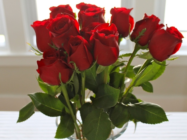 Красные розы на 8 марта