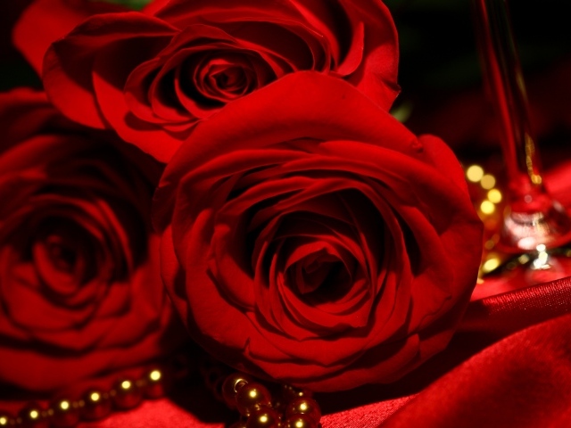 Красные розы на 8 марта на фоне атласа и жемчуга