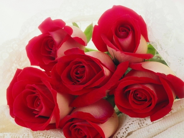 Красные розы на 8 марта для любимой