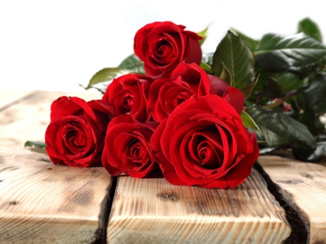 Красные розы на 8 марта на дереве