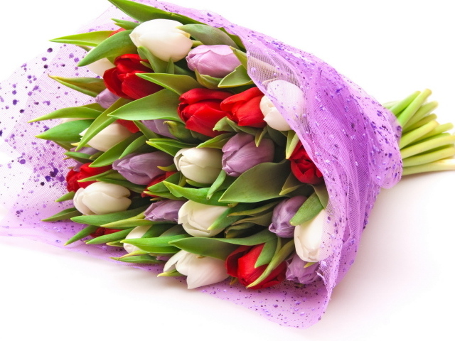 Тюльпаны для девушек на восьмое марта