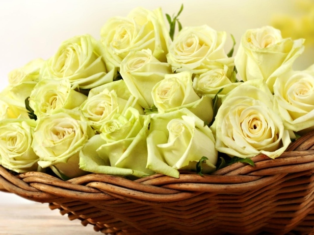 Жёлтые розы в корзине для женщин
