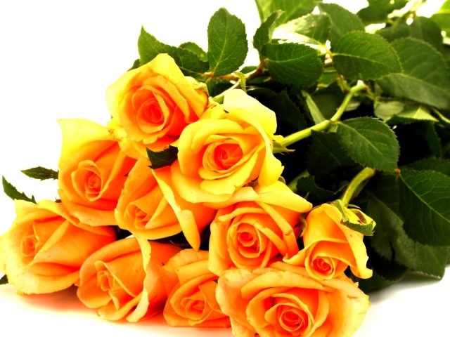 Жёлтые розы в букете для любимой дамы