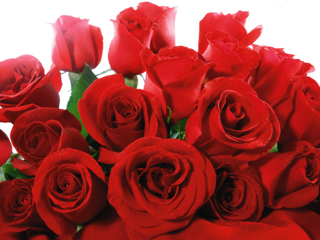Роскошный букет красных роз на 8 марта