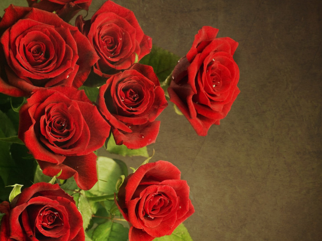 Букет роскошных красных роз на 8 марта