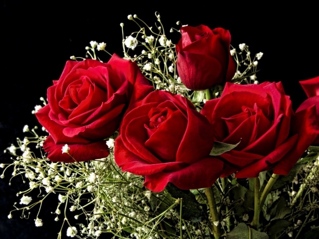 Красные розы на 8 марта на черном фоне