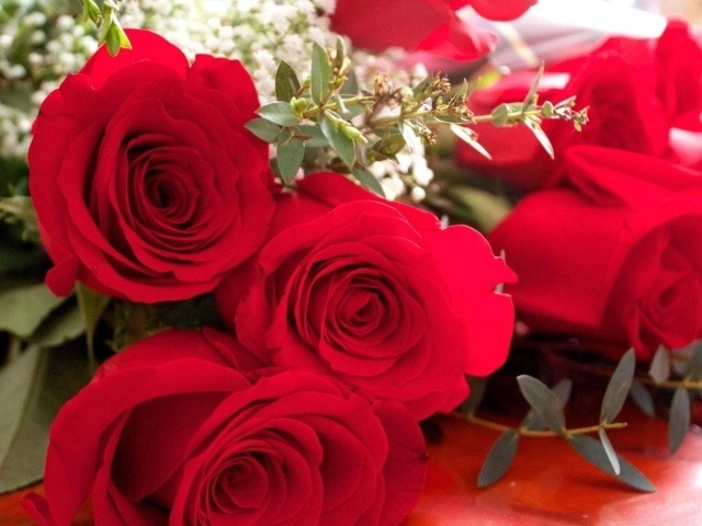 Махровые красные розы на 8 марта