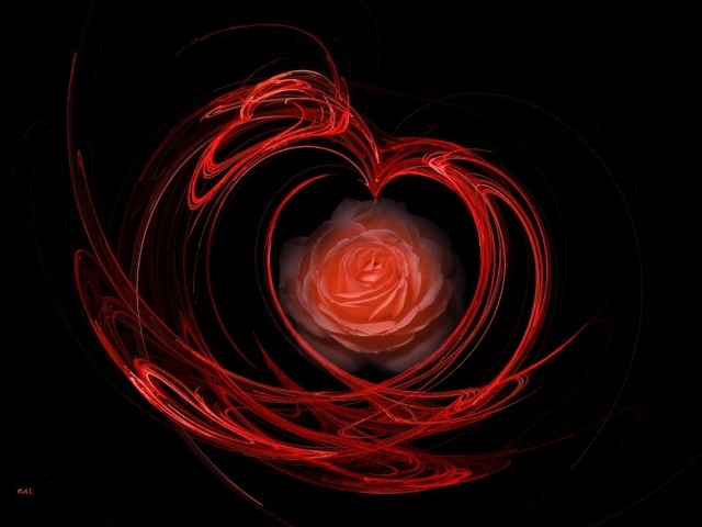 Огненная роза на День Святого Валентина 14 февраля