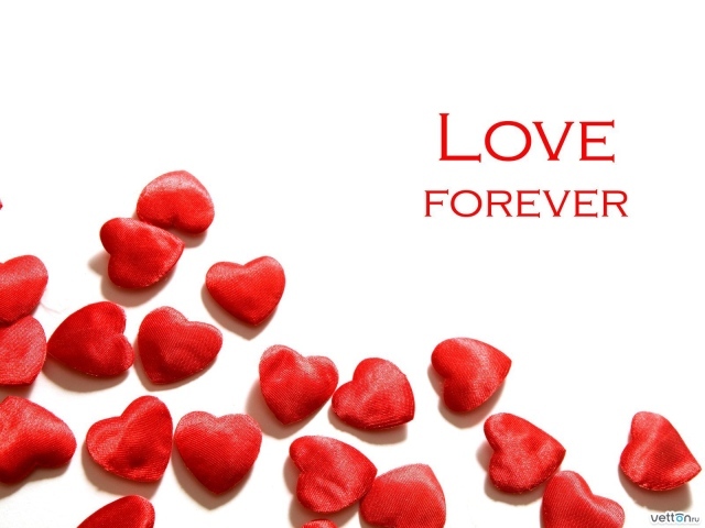 Любовь навсегда на День Святого Валентина 14 февраля