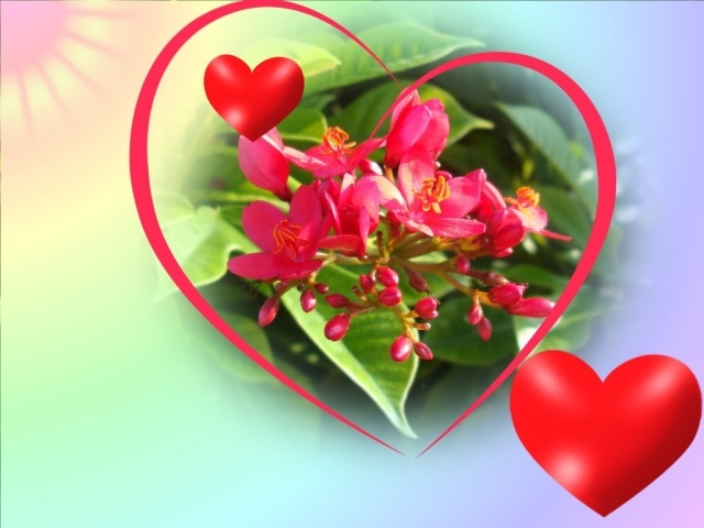Великолепные цветы на День Святого Валентина