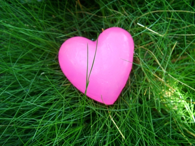 Розовое сердечко на траве