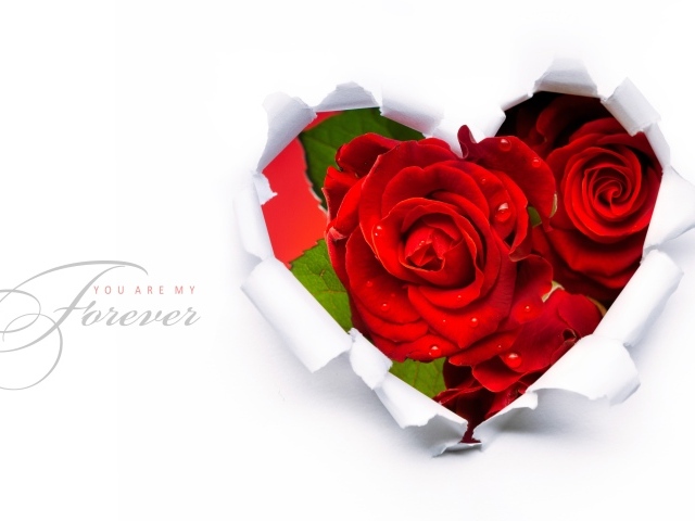 Ты моя навсегда в День Святого Валентина