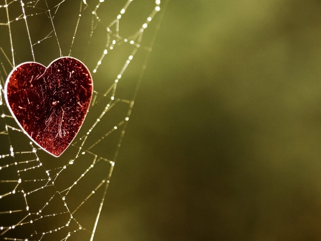 Сердечко на паутине