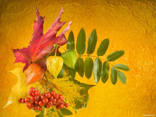 Осенний букет в День знаний 1 сентября