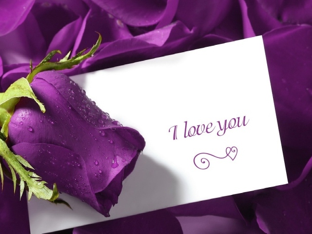 Фиолетовая роза и признание в любви