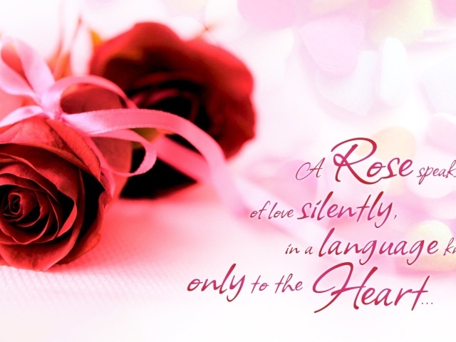 Красные розы и красивые слова о любви