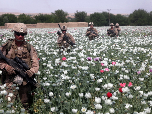 Солдаты на маковом поле