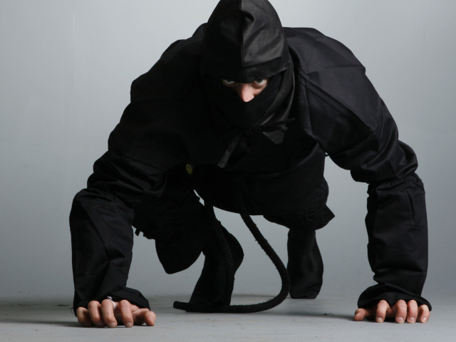 Ниндзя в боевой стойке