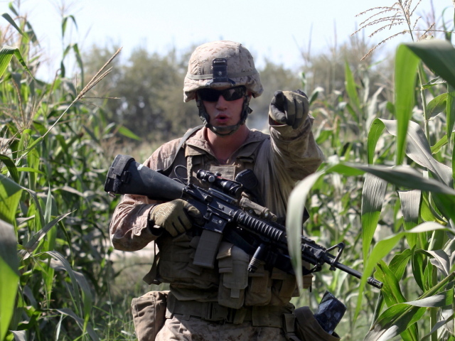 Солдат на кукурузном поле