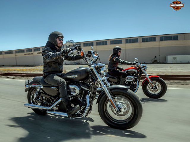 Красивый мотоцикл Harley-Davidson XL 1200C Sportster Custom