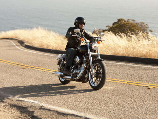 Невероятный мотоцикл Harley-Davidson XL 883L Sportster