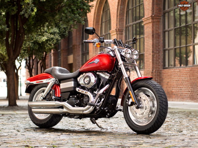 Новый мотоцикл на дороге Harley-Davidson Dyna Fat Bob