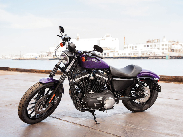 Новый мотоцикл на дороге Harley-Davidson XL 883N Sportster Iron
