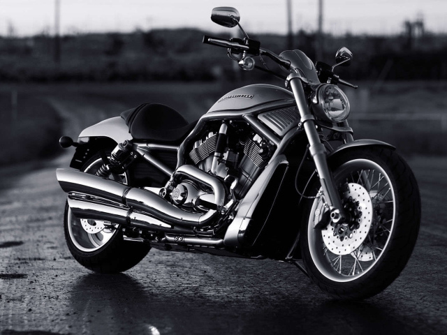 Новый надежный мотоцикл Harley-Davidson V-Rod Muscle