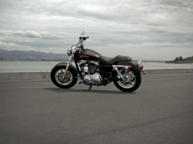 Тест-драйв мотоцикла Harley-Davidson XL 1200C Sportster Custom