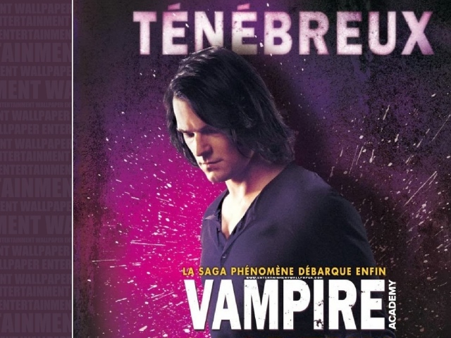 Интересный фильм Академия вампиров