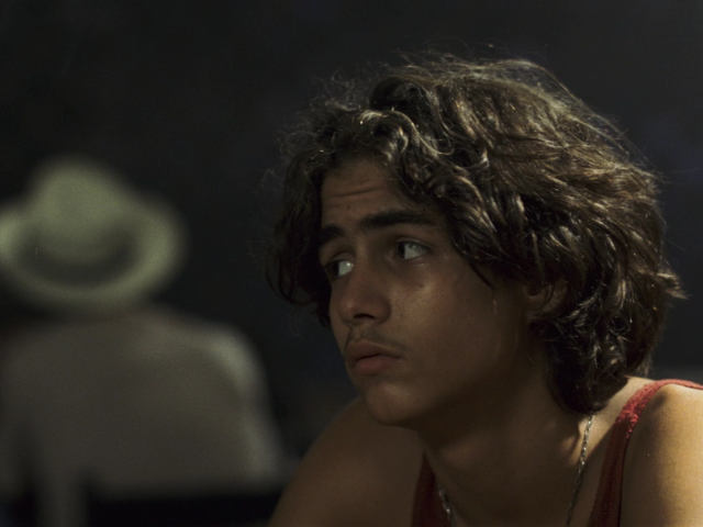 Алые маки Иссык-куля