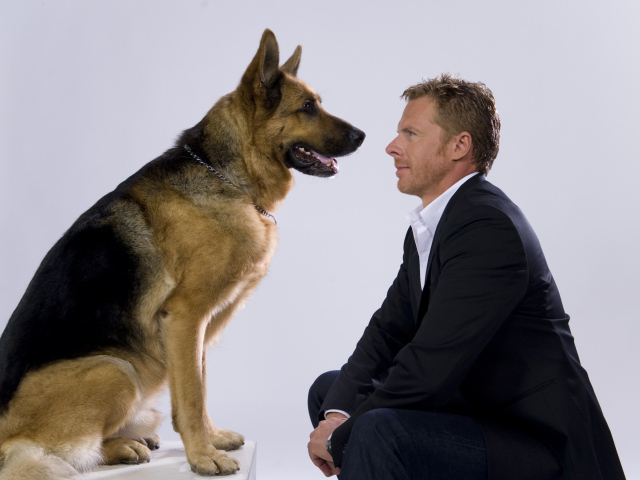  Комиссар Рекс