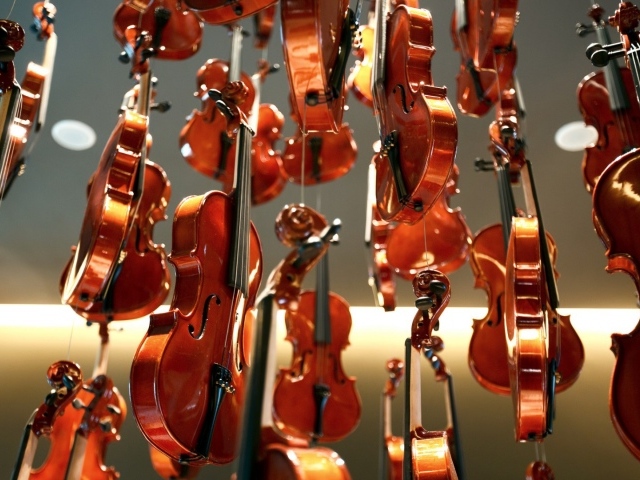 Дождь из скрипок