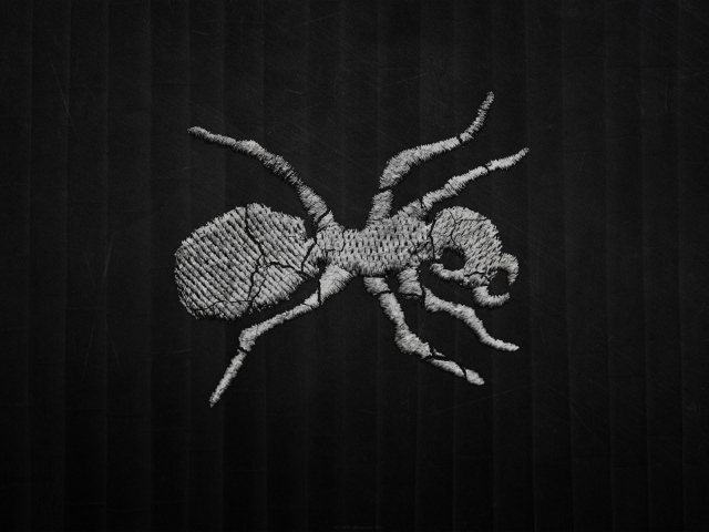 Муравей на темном фоне