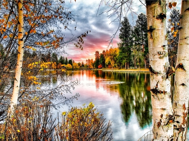 Березы у реки